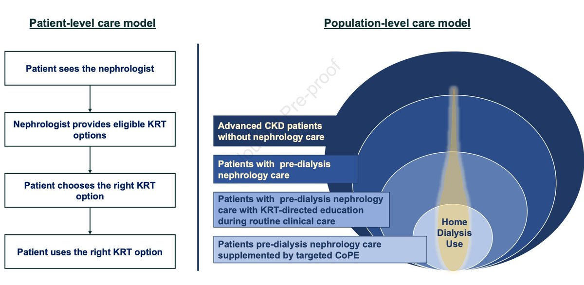 Informed Dialysis Modality Selection Among Veterans With Advanced CKD: A Community-Level Needs Assessment buff.ly/4dcksaK