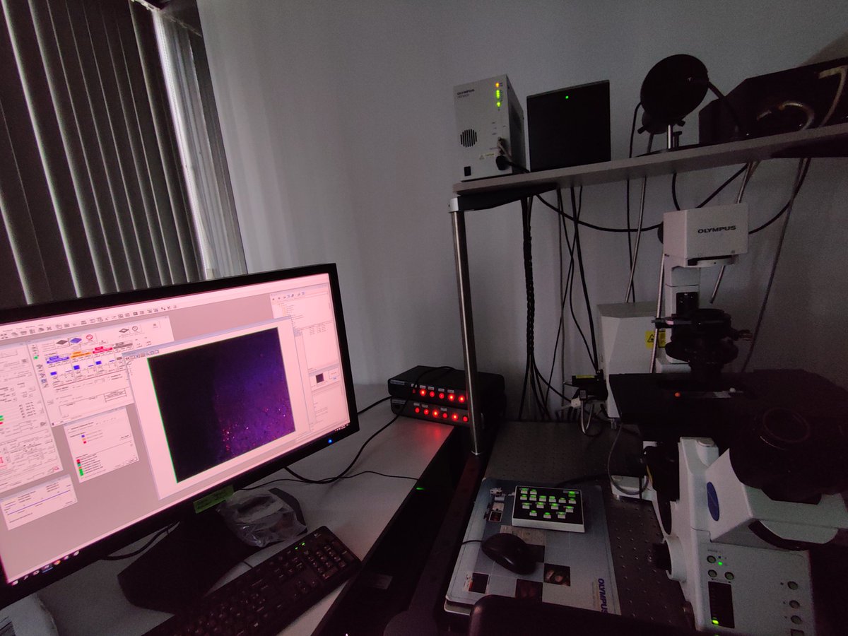 Confocal day 🌑