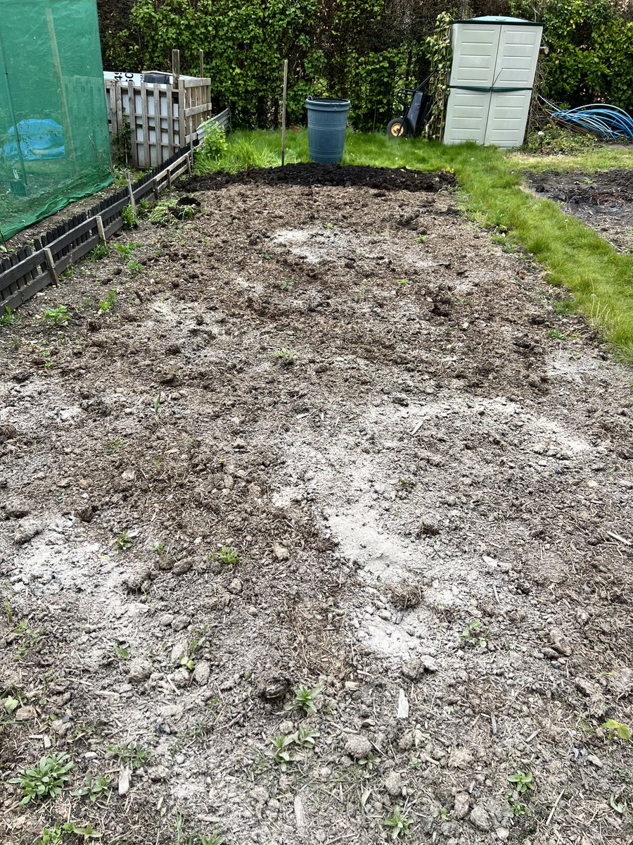 May Day prep of giant pumpkin bed.  This bed has got so much love in it! #giantpumpkin here we go #allotment fun. Year 4 now of putting blood sweat tears and a supportive marriage!