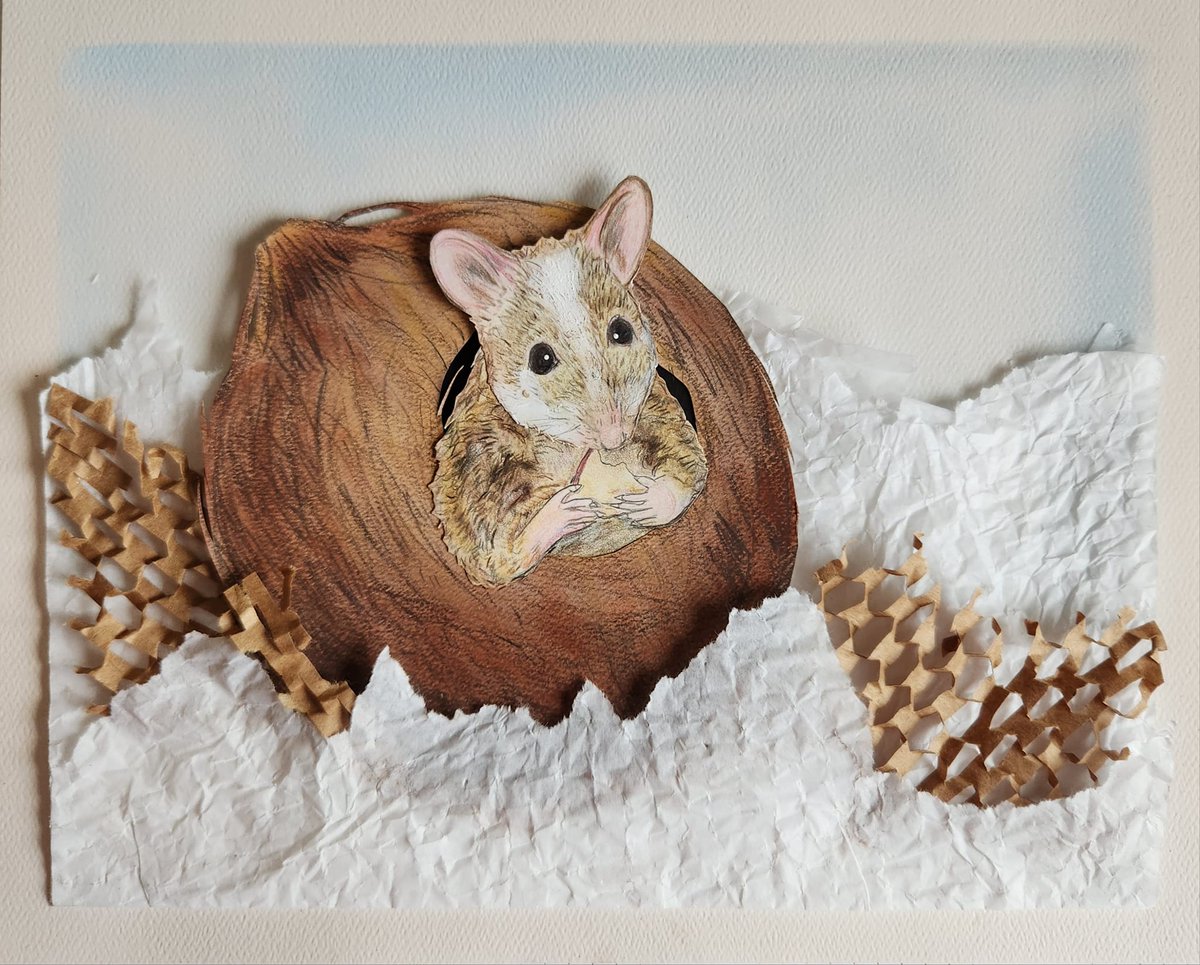 @panpastel Another pet portrait from 2023's #calgaryexpo off to their human today :-)

#petportraits #rodents