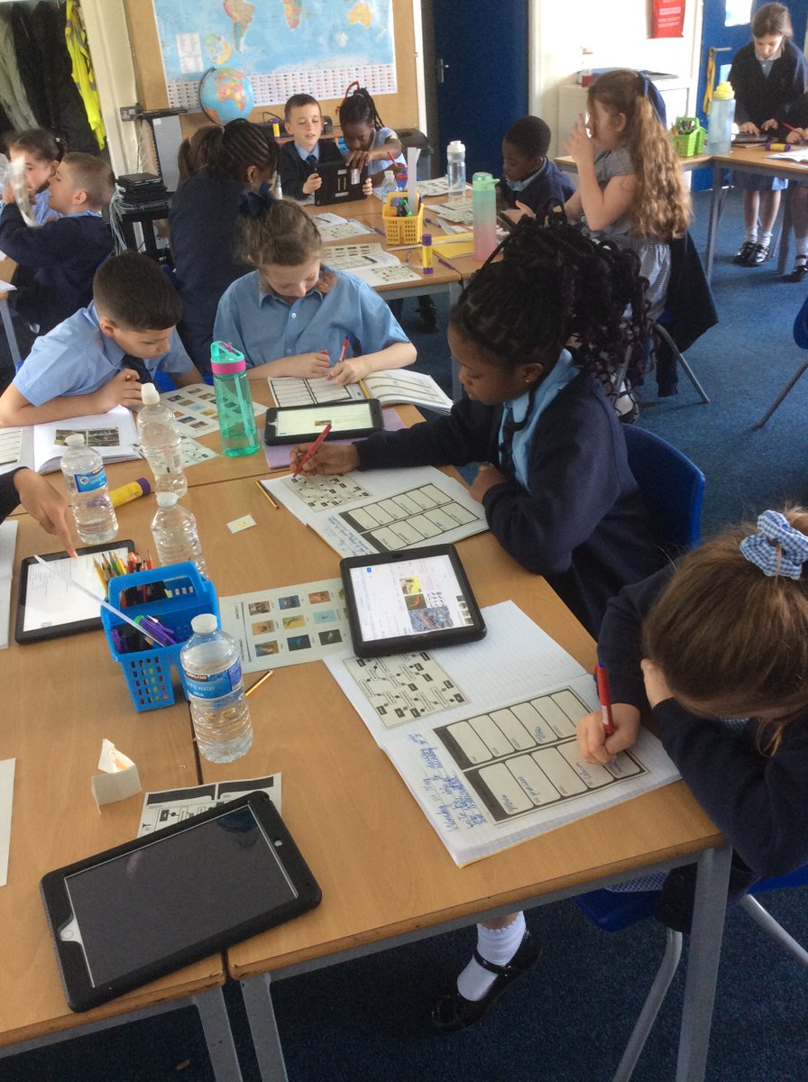 In Science, Year 4 have been using classification keys to group and sort animals.