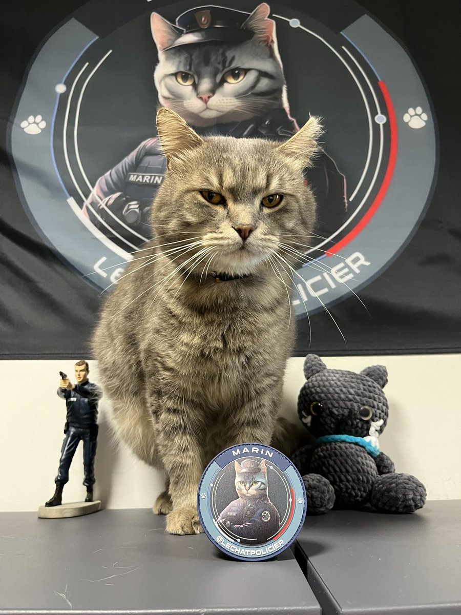 lechatpolicier's tweet photo. C’est tout un symbole, en ce 1 mai 2024, date à laquelle nous aurions dû fêter les 18 ans de Pirate, que Marin son successeur, vous présente son écusson. 

Un grand merci à @idshopcreation pour la conception de l’écusson. 

Disponible dès maintenant dans la boutique de Marin https://t.co/7C2DcBYFgl
