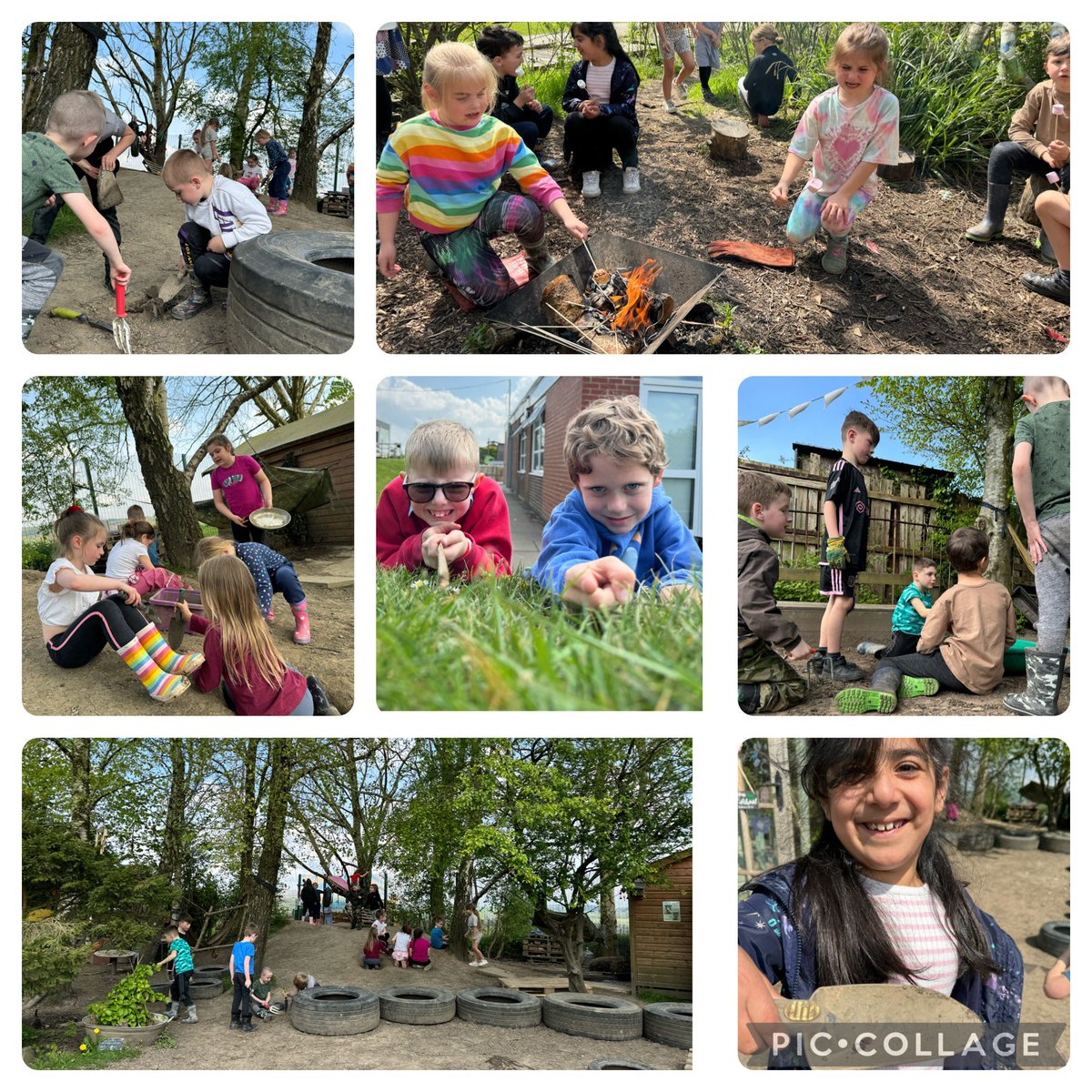 Toasted marshmallows and loads of digging today 🤣☀️#forestschool #year2 #toastedmarshmellows #makingmemories #learningthroughplay