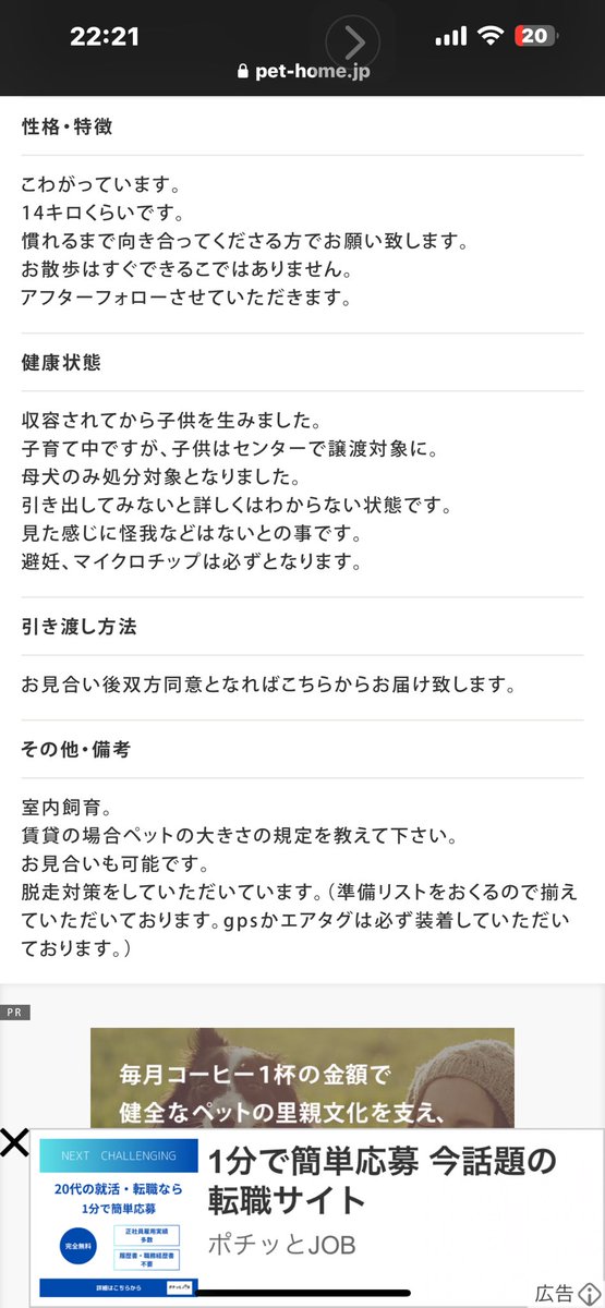 #ゴールデンウィーク　#保健所犬を家族に迎えるGWにしよう😃🙌👏😃
#ワンちゃんがずっとの優しい家族に譲渡されるまでずっとの期限延長をお願いします　#期限延長中(20240505迄)
#野犬の子犬　#元飼い犬　#元野犬　
#迷い犬　#飼い主の迎えのない犬　
みんな良い子ばかりです
#保健所犬　#保護犬…