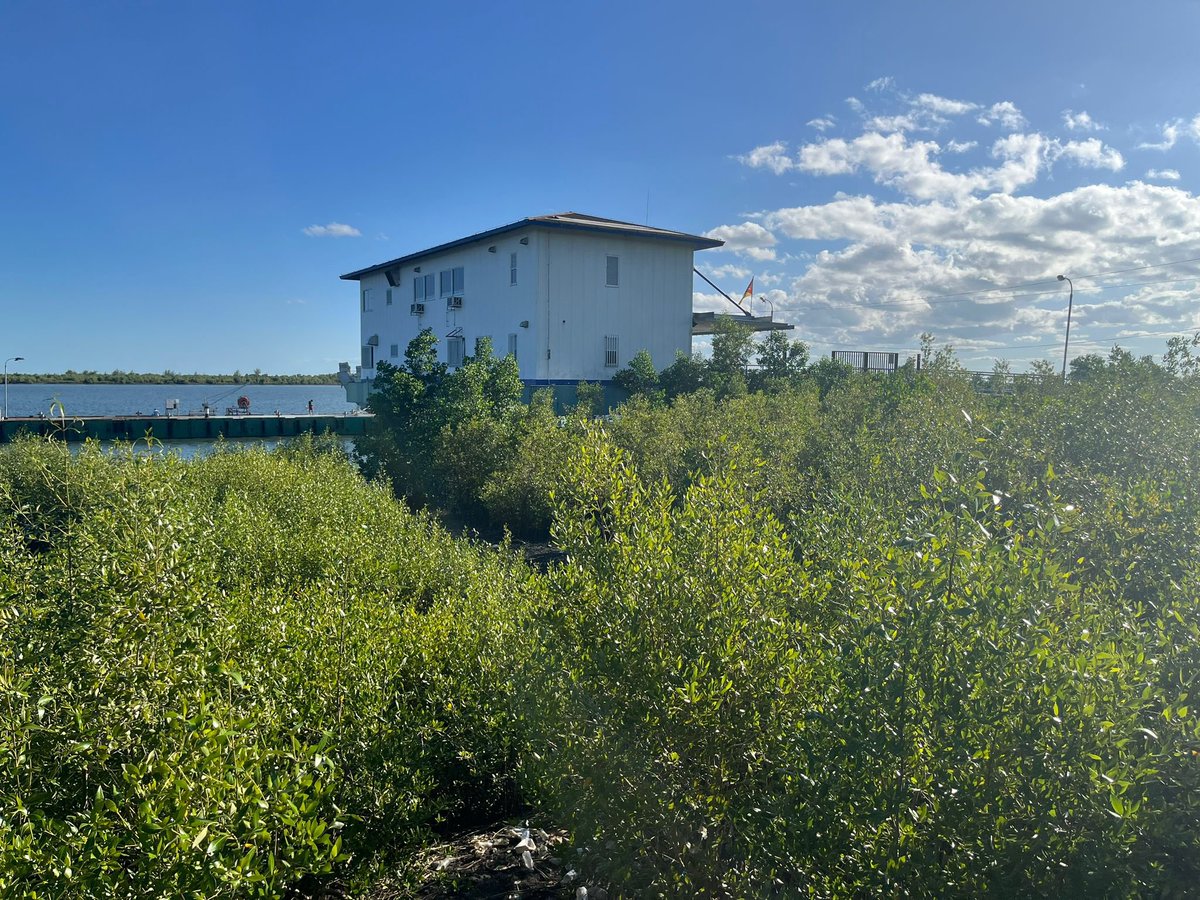 #Quelimane, the #mangrove city.