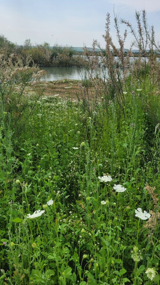 Manzaramın güzelliği 🌸🌿