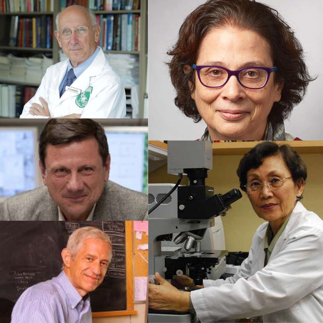 Congratulations to #NIH_IRP scientists Sandra Wolin (@theNCI ), Kyung J. Kwon-Chung (@NIAIDNews), Thomas Kunkel (@NIEHS), Giorgio Trinchieri (NCI), and Steven Rosenberg (NCI) on their election to @theNASciences!