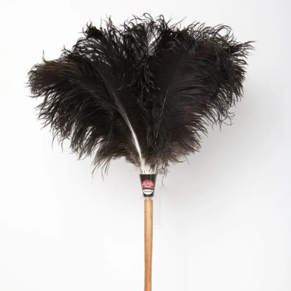 Check out our DUSTEASE Ostrich Feather Dusters!

These beauties use ostrich feathers that have loads of tiny filaments, perfect for trapping dust rather than just pushing it around.

Check it out: rsecoworld.com/dustease-ostri…