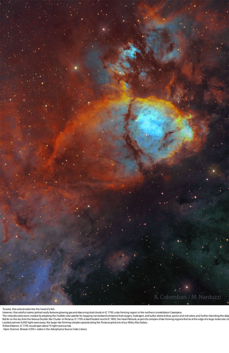 Check out today's Astronomy Picture of the Day:

IC 1795: The Fishhead Nebula 
Image from @Aus10va's Nasa APOD web app & NASA API(aus10-io-nasaapod.streamlit.app) #recycleright #zerowaste #SustainabilityinAction