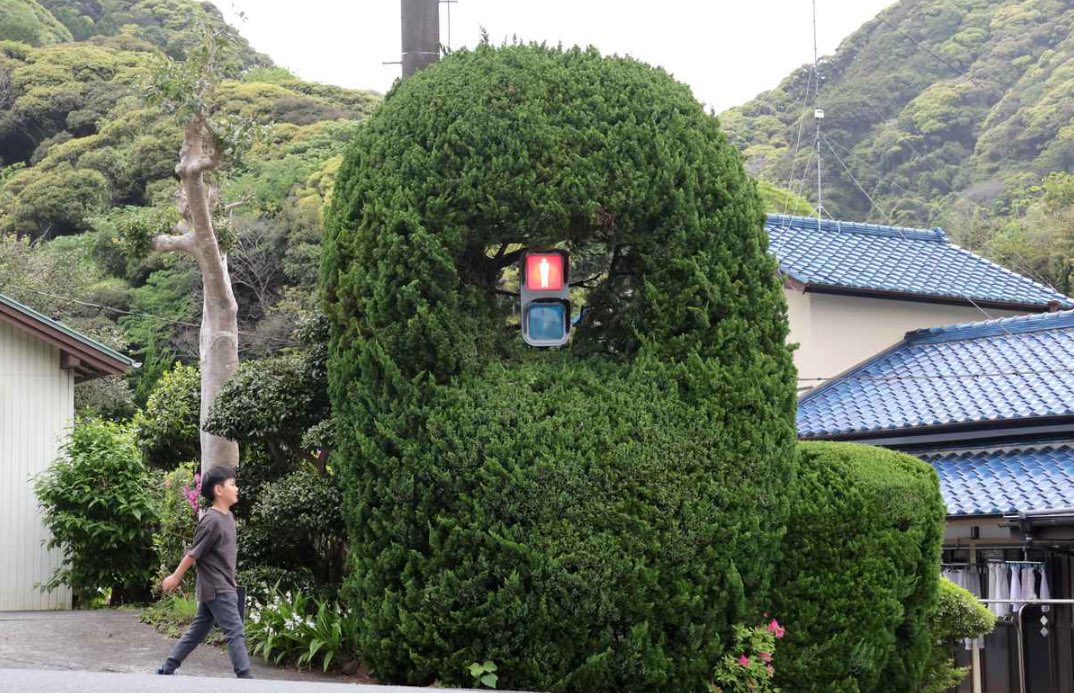 Do ya’ll have a favorite pedestrian crossing signal? 

This is mine, in the town of Minamiizu (Shizuoka)