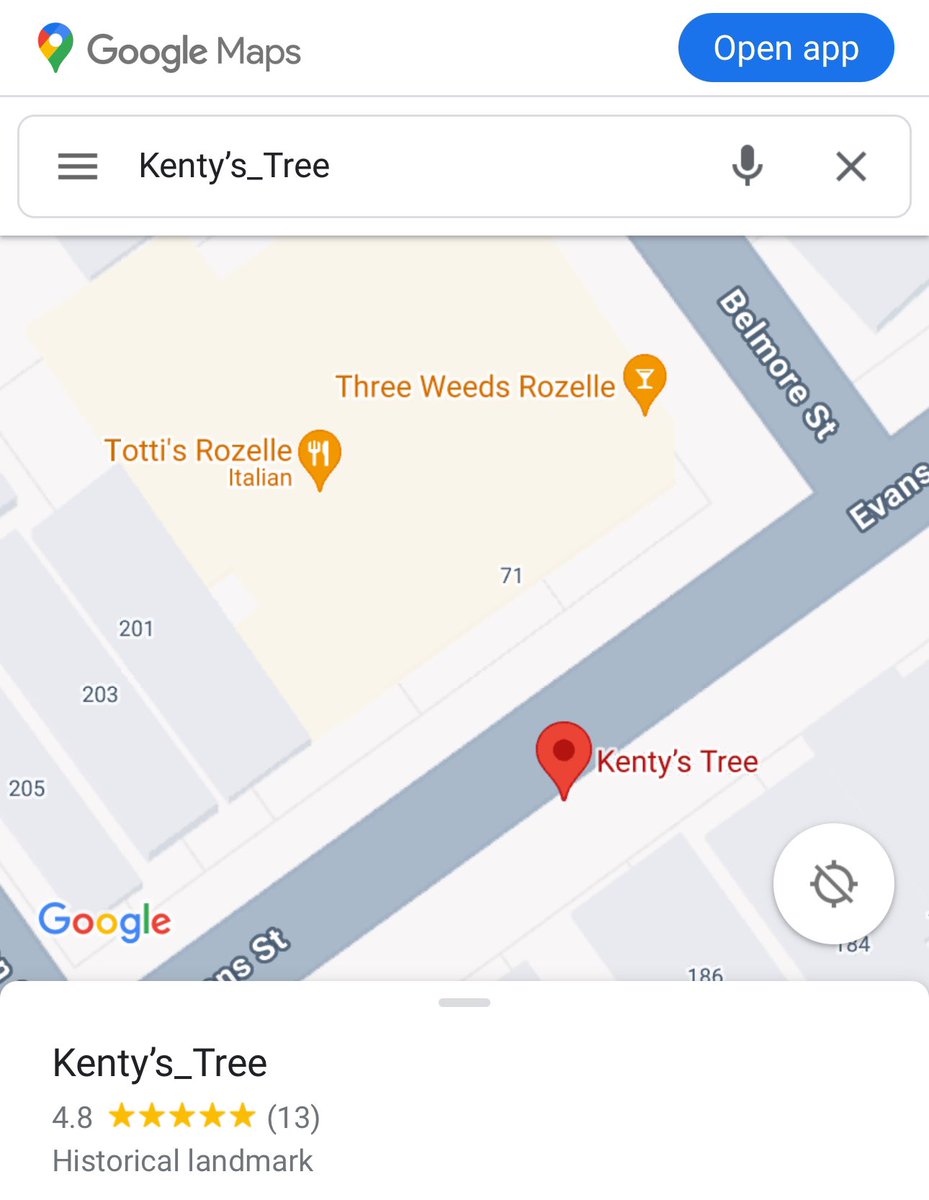 “Kenty’s Tree” now has a listing on Google Maps…and a 4.8/5 star rating 😂