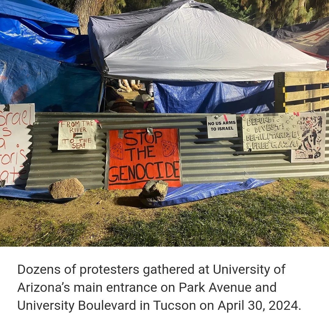Give them a lawful place to protest but don't allow encampments to be built. When they violate the law, cut off WiFi, water, power. No food, no toilets. Control entry/exit, no re-entry. Arrest, prosecute, and expel.