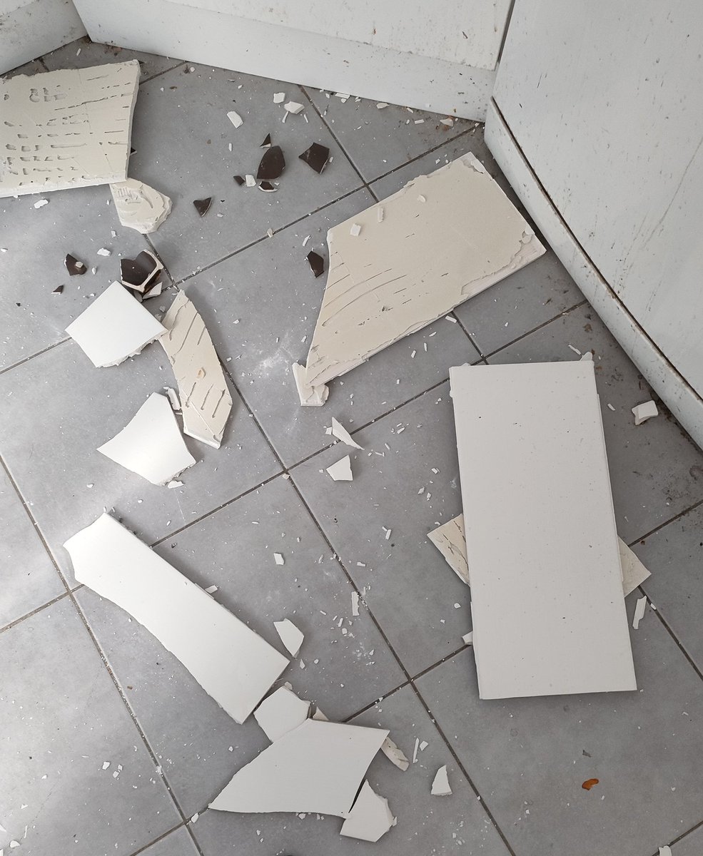 When I was preparing today's dinner, tiles on the wall of the kitchen fell off and one of those tiles hit my head It's fortunate that the hit to my head was not serious at all