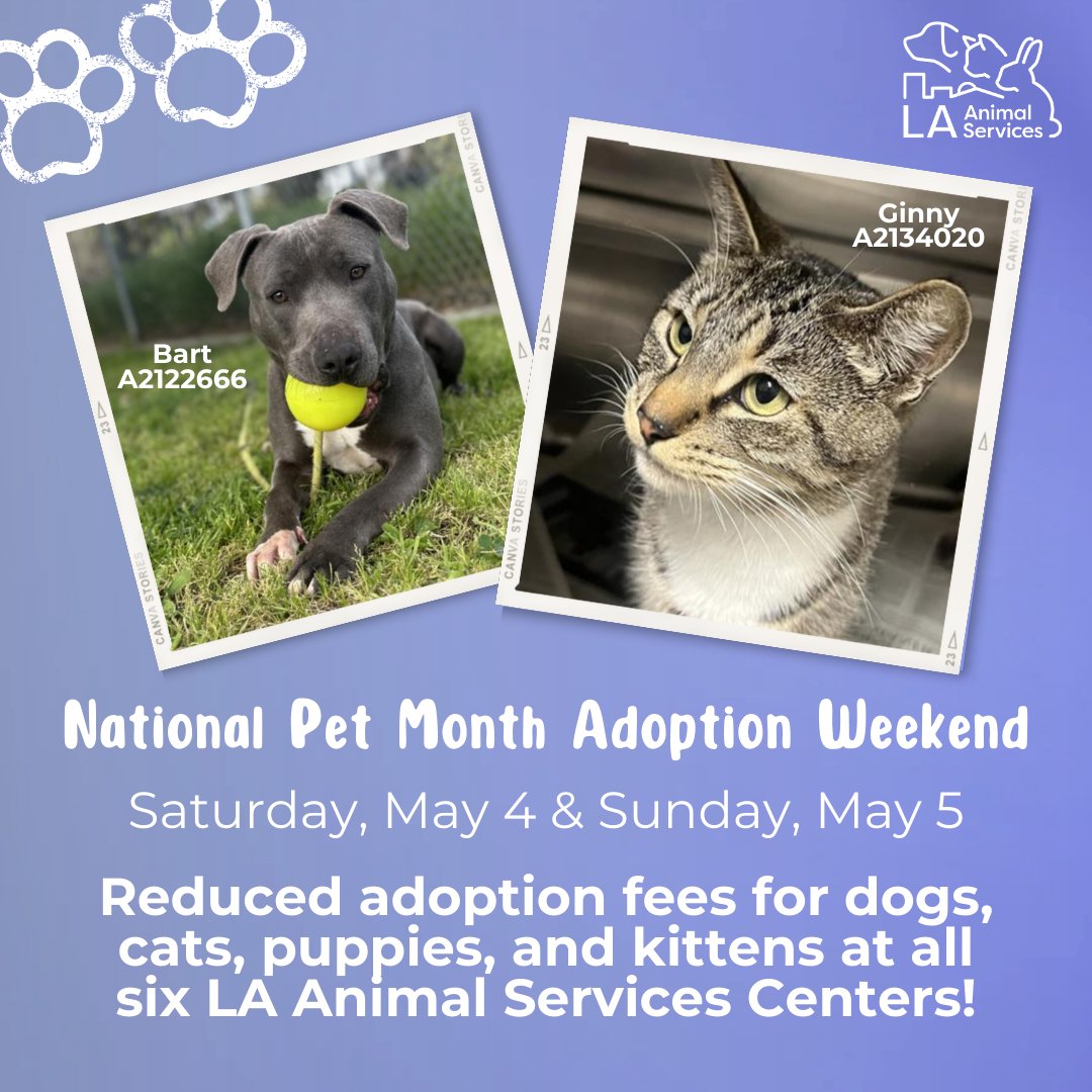 May is #NationalPetMonth!🐾 There are currently more than 2,000 pets in our six LA Animal Services Centers who are available for adoption. To encourage the community to adopt a pet, we're offering reduced adoption fees for dogs, cats, puppies, & kittens on Sat, May 4 & Sun, May 5