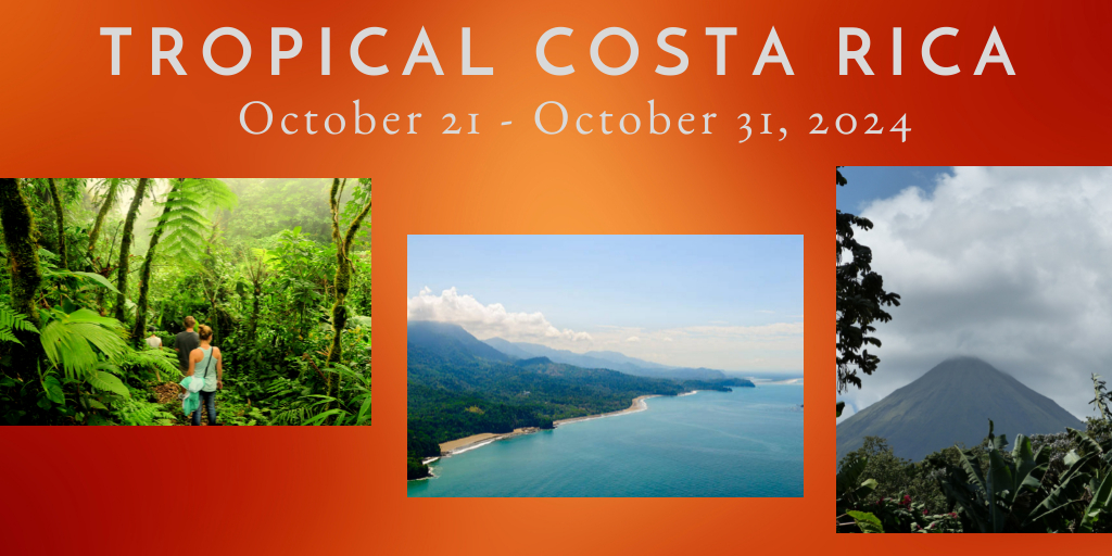 Travel to Costa Rica with the @Fton_Chamber from October 21-31, 2024 experiencing San Jose, Arenal, Monteverde, Guanacaste & more! Trip includes 11 Days, 17 Meals, Air Fare, Accommodations, & Excursions Included. *Deadline extended to May 21, Details: bit.ly/3T7YAWa
