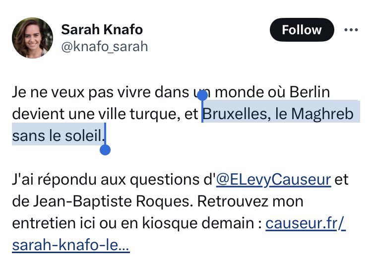 #Bruxelles est-elle en passe de devenir « le Maghreb sans le soleil » ? C’est la crainte de Madame @Knafo_Sarah, candidate aux élections européennes en France.