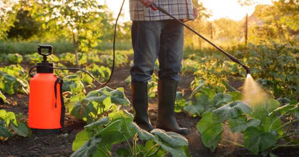 Tell the USDA National Organic Program: Organic = Soil! Get Soilless Container-Grown Hydroponic Systems Out of Organic! bit.ly/3xTwupl