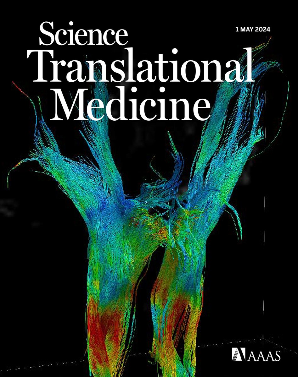 Don't miss the new issue of #ScienceTranslationalMedicine! An #AI system scans health records to detect rare immune disorders, scientists build an MRI atlas of human wakefulness, and a Viewpoint discusses the importance of adult vaccines in an aging world. scim.ag/6O0