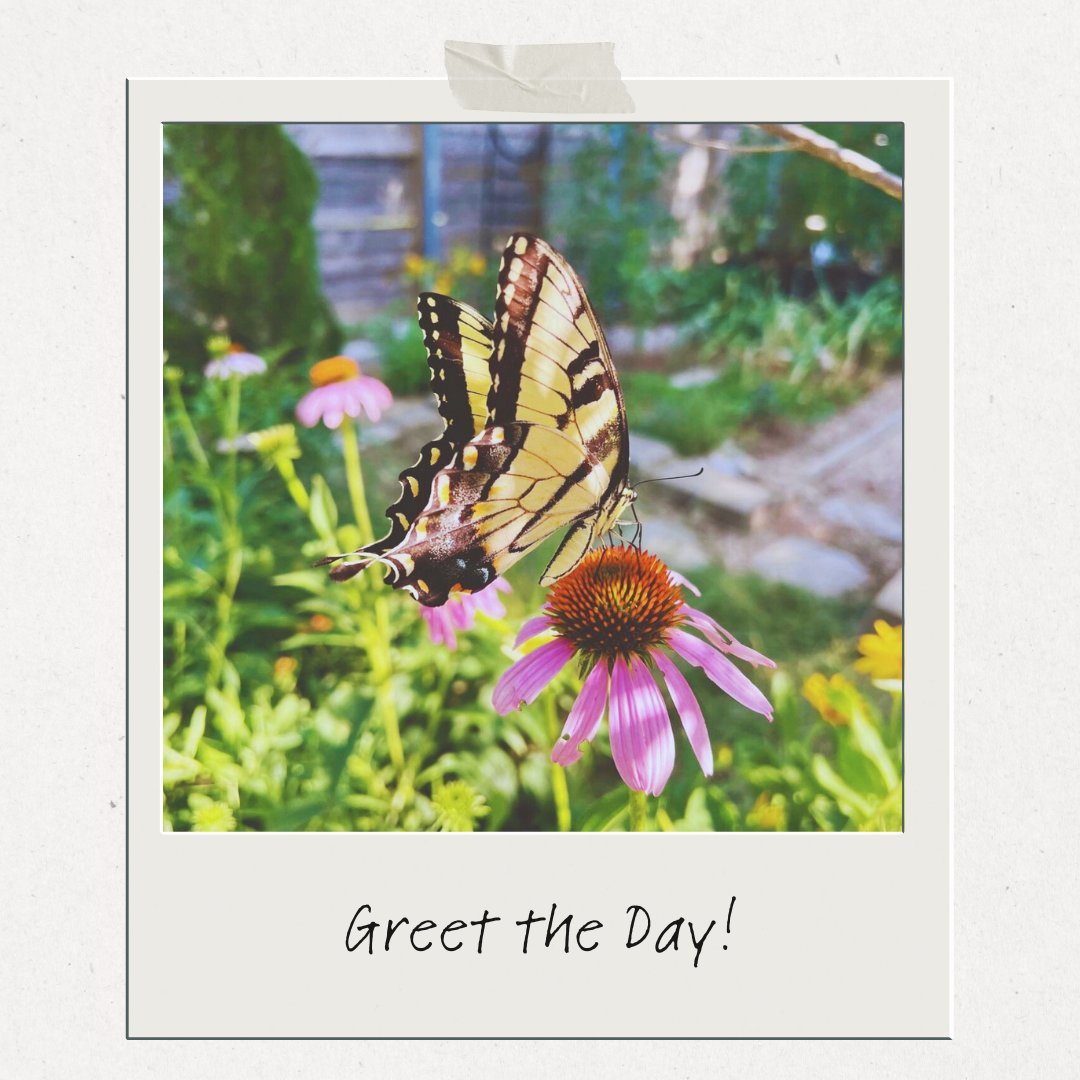 DAY ONE OF GREET YOGA CALENDAR 🦋⁠ This is going to be a beautiful month of expansion, balance, mindfulness, and fun! Are you ready?⁠ ⁠ Today's practice is Greet The Day Yoga! Try it now at the link below!⁠ youtu.be/Z-Q7H8afamg?si…