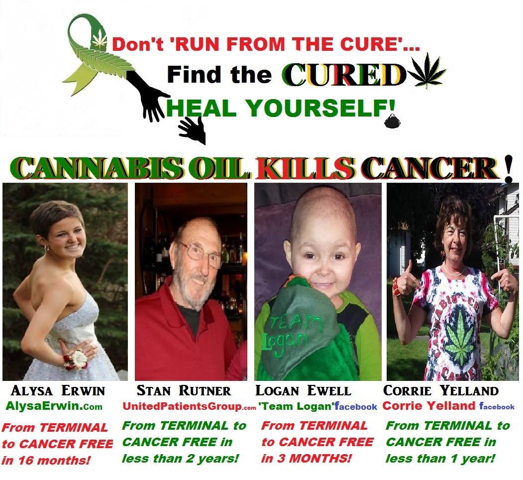 Please research R.S.O to fight Cancer. Look up Phoenix Tears! THIS OIL CURES CANCER AND MANY OTHER THINGS! Research 'Endocannabinoid System'! IT WILL BLOW YOUR MIND! If you have a loved one fighting, please share this with them! <3