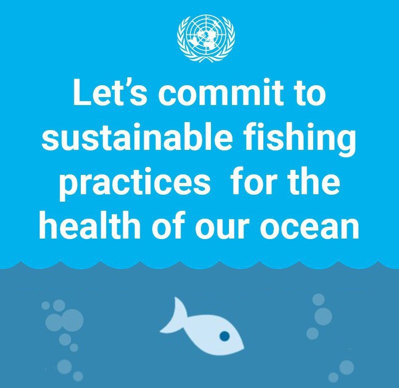 The overwhelming demand for tuna poses a threat to fish stocks & their surrounding ecosystems. On Thursday's #WorldTunaDay, see how your choice of seafood can impact efforts to achieve a sustainable future: un.org/en/observances… #GlobalGoals