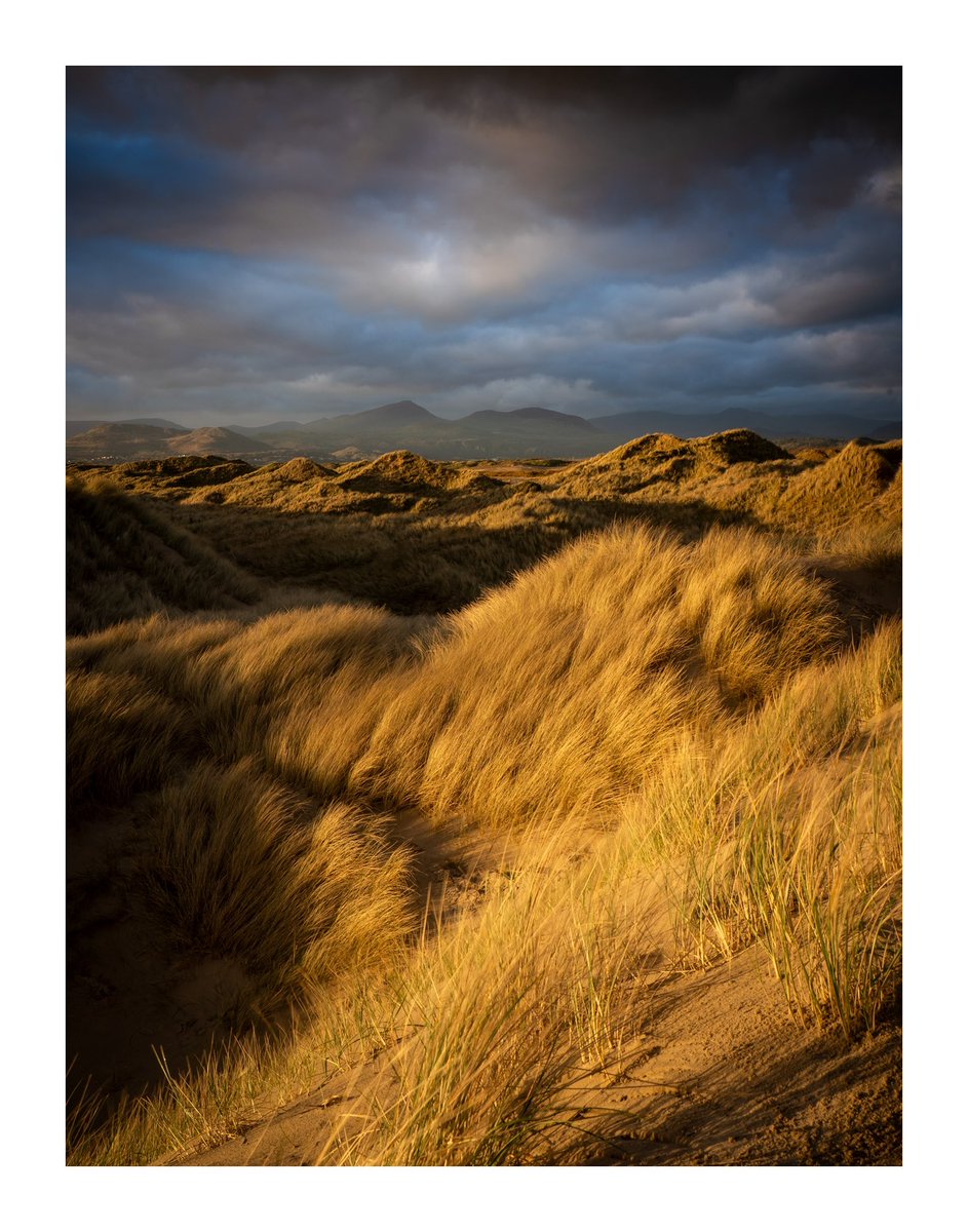 Golden hour at Harlech beach, Snowdonia / Eryri. Loads of fun hurtling up and down these dunes trying to find angles!