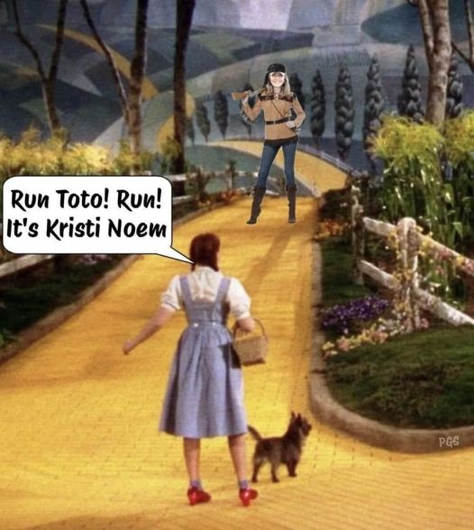 Run Toto.....