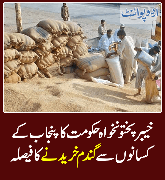 خبر کی مزید تفصیل جانئیے
urdupoint.com/n/4002350

@GovernmentKP @AliAminKhanPTI 
#Wheat #KPKGovt #PunjabFarmers #WheatPrice