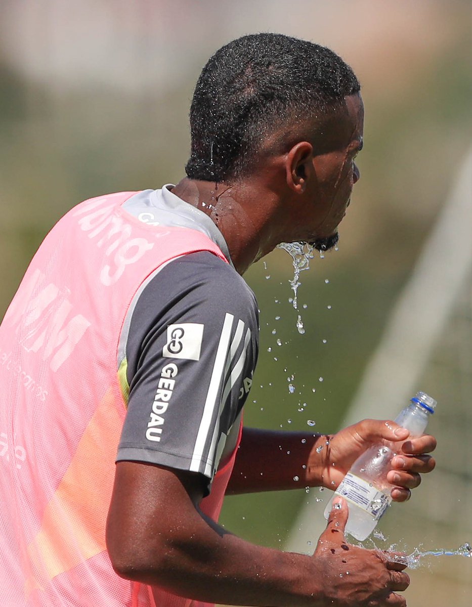 Já bebeu água hoje? 🤔💦 Só hidratando pra seguir forte nesse calor! ☀️🐔