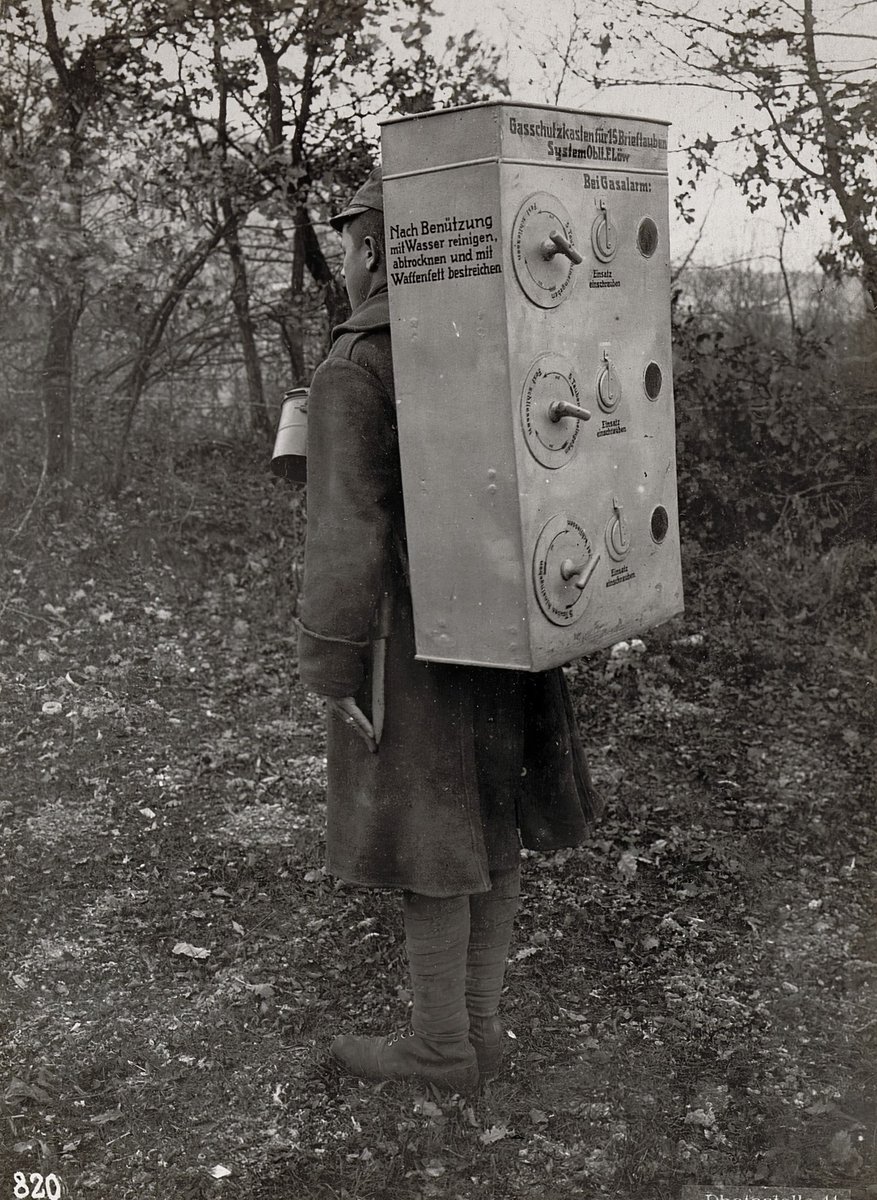 Carrier pigeons of the Austro-Hungarian Army in their protective equipment in case of a gas attack, Trento, 1917.