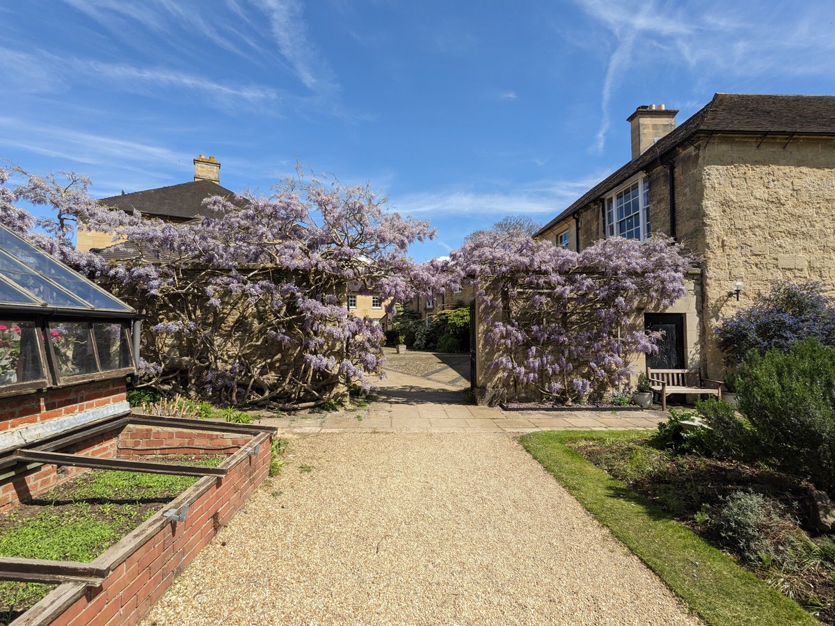 Always lovely to be back in Oxford, meeting with great friends and colleagues, and of course, visiting @greentempleton. Seem to time it perfectly each year to see the garden in full bloom 😄🤩