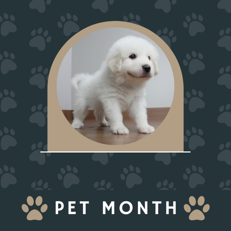 May is #NationalPetMonth 🐾

Make sure to give extra attention to your furry friends all month long ❣️