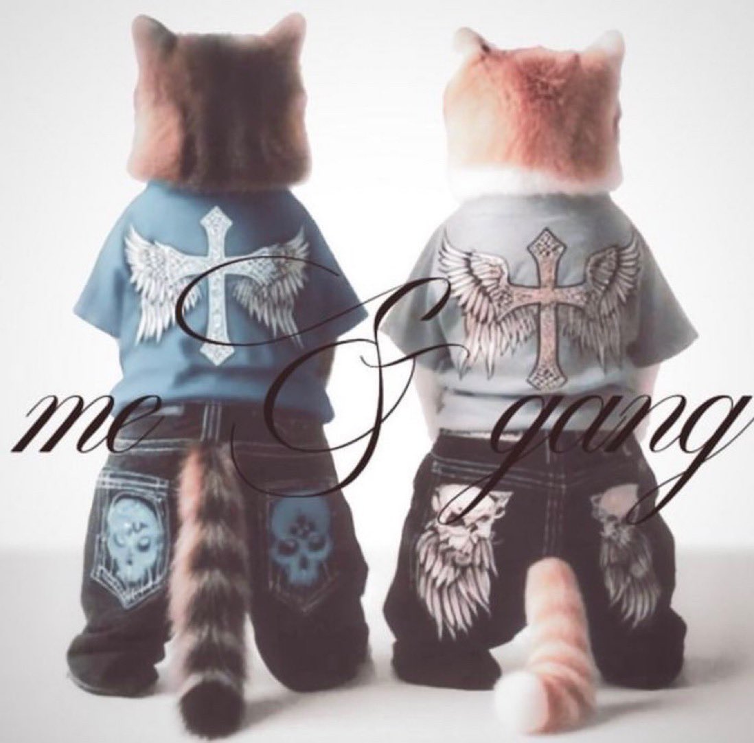 moved to new account (@imyrave) on Twitter photo 