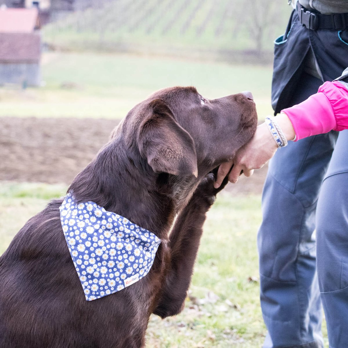Style meets companionship with Pettsie's dog collar featuring a trendy bandana and a matching friendship bracelet for you! 🐾💖 Strengthen your bond with your furry friend in style. Because every adventure is better together! 🐶✨

#pettsie #dogbandana #dogcollars  #dapperdog