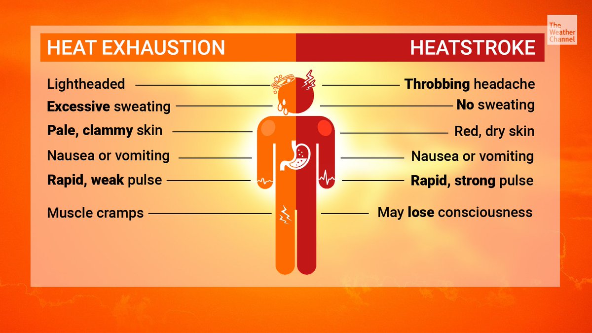 It's National #HeatstrokePreventionDay! 🌡️

Do you know the signs? ⬇️