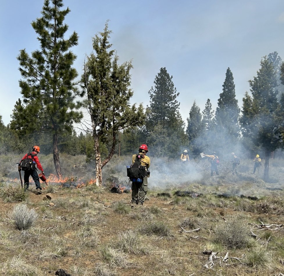 🔥Firefighters had a successful test fire on Sisters Area Fuels Reduction (SAFR 64) 3 miles south of Sisters along FS Road 16 & 1608. They are continuing ignitions for up to 28 acres. Smoke will be visible from Sisters & the surrounding area.