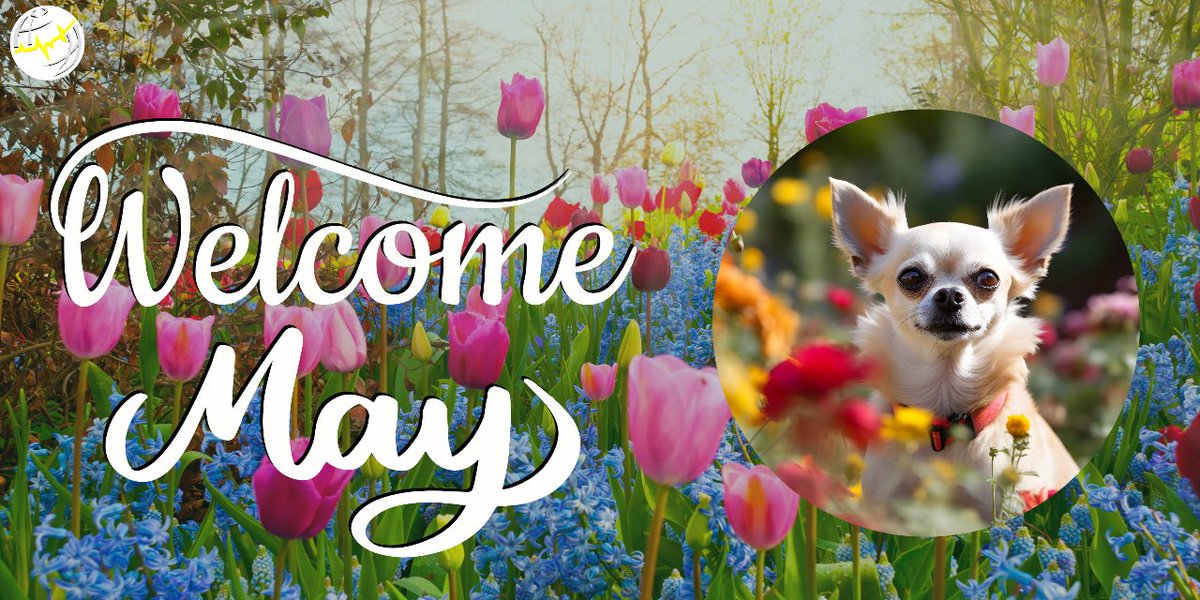 Welcome May! Be sure to join our monthly newsletter to stay in the know.
Take a look here: stirlingglobalsolutions.com/campaigns/view…
#StayintheKNOW #SGS #StirlingGlobalSolutions #thehealthcareexperts