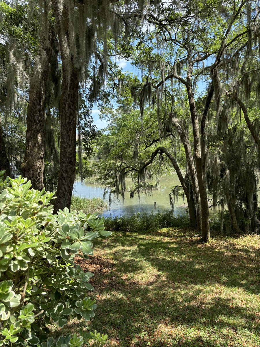 Sometimes you just have to go outside and let your senses explore. Feel the breeze. Hear the birds. Smell the pluff mud. Touch the leaves. #LoveWhereYouLive