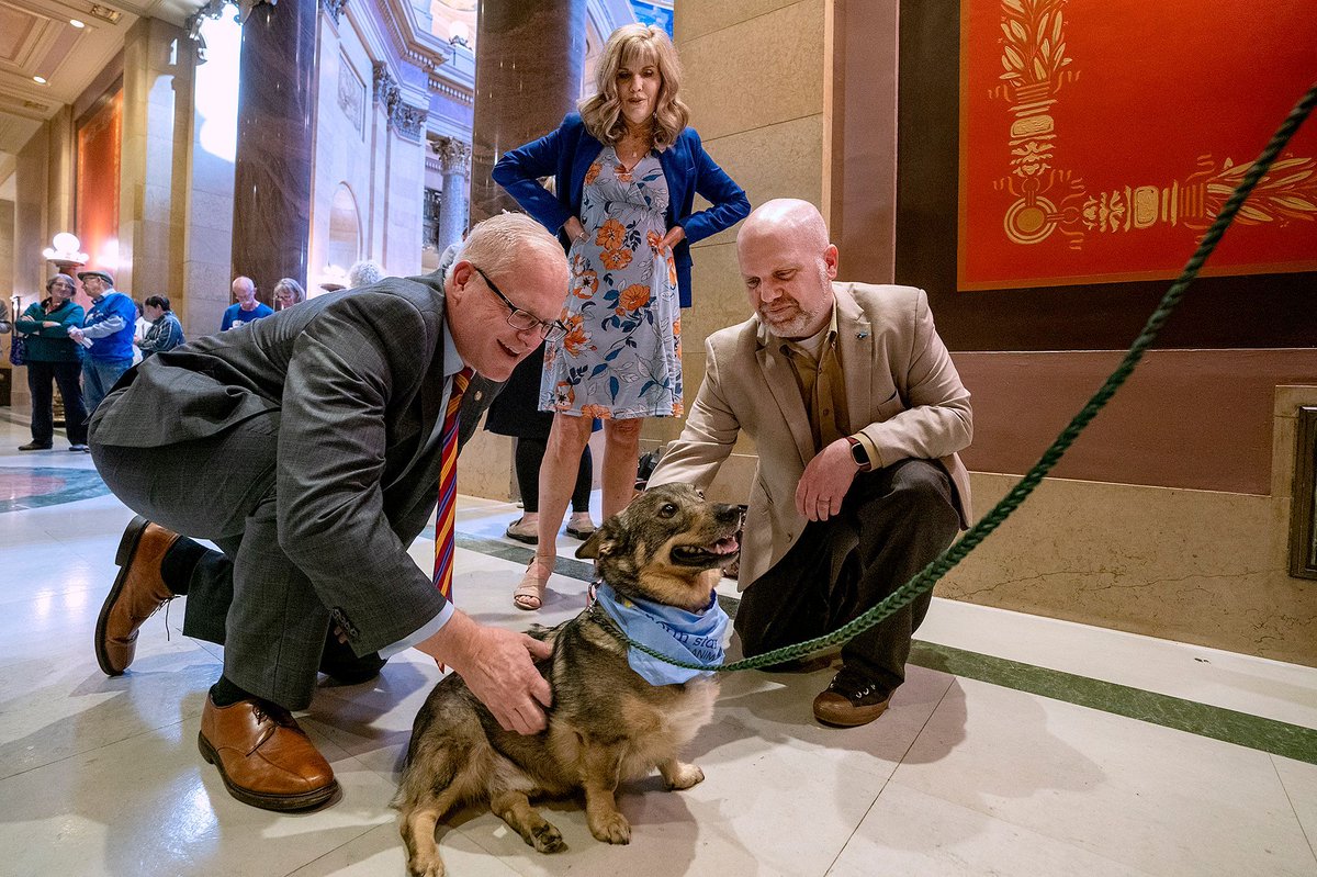 Rep. Jim Nash (@JimNashMN), Rep. Peggy Scott and Rep. Mike Freiberg (@RepFreiberg) spend time with Ender, a therapy dog with North Star Therapy Animals who visited the Capitol April 30. 📸 Michele Jokinen #mnleg #mnhouse