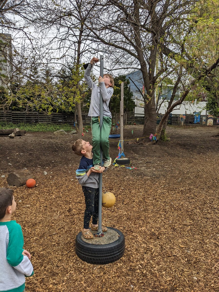 Collaboration and problem solving are core capacities we develop at Acera. Check out Room 1 students putting those skills to work during recess! #teamwork #teamworkmakesthedreamwork #problemsolving