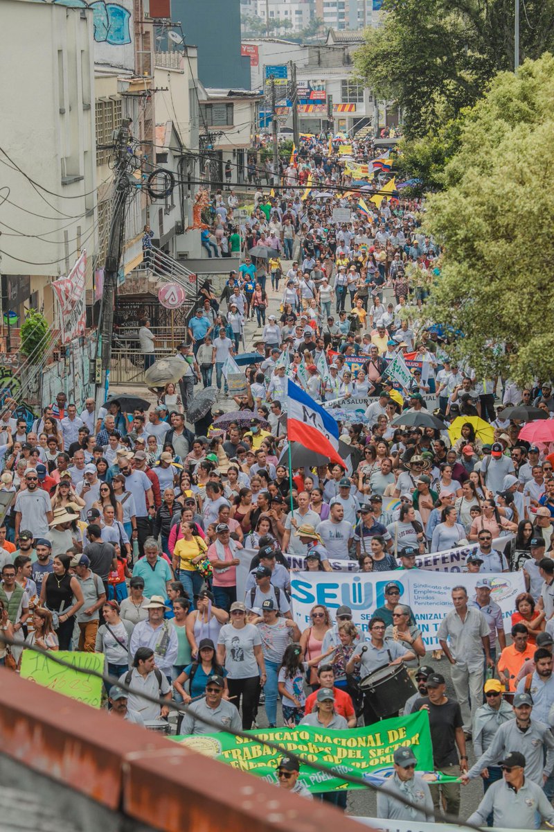 Enorme Manizales.