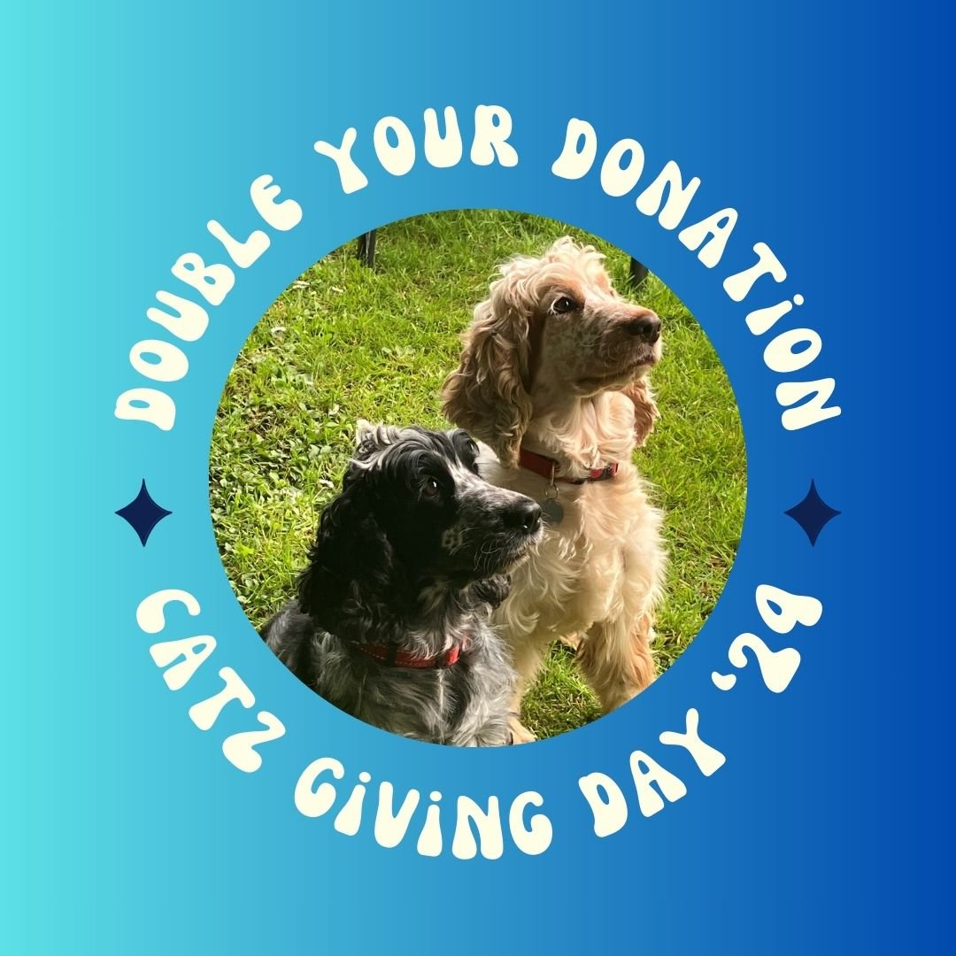 Just over one hour left to go -- and every pound given gets doubled! #CatzGivingDay stcatz.givingday.co.uk/giving-day/1620