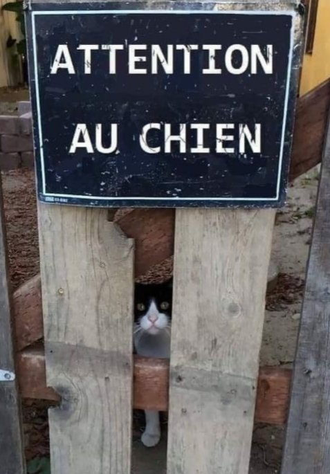 Ben quoi ?
Il est pas là !
Je le remplace ‼️🤭😂🤣🤣🤣