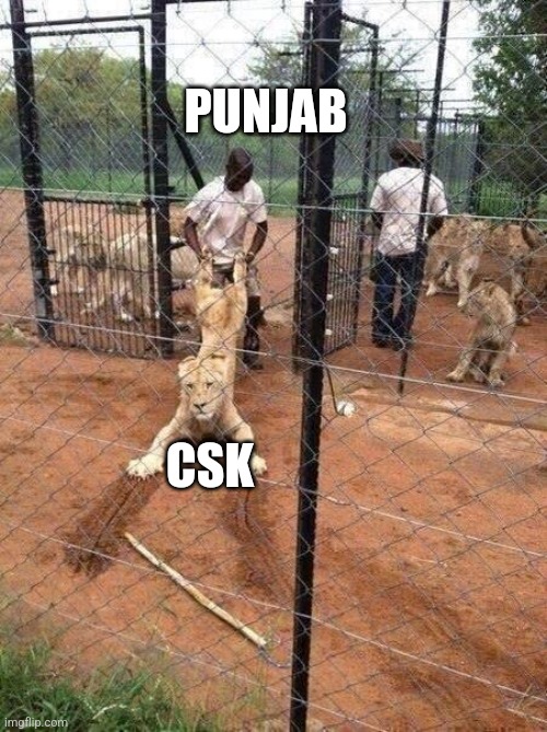 Lion tamed at it's own den. Punjab now officially owns CSK