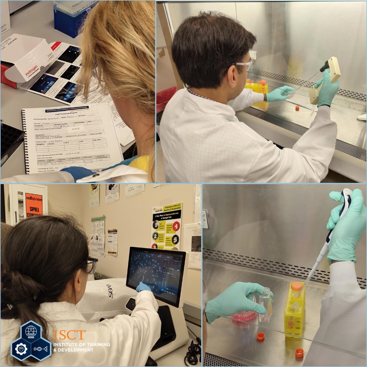 Day 3 at the ISCT - CMaT Hands-on Laboratory Bootcamp for Cell & Gene Therapy Bio-Manufacturing hosted at Georgia Institute of Technology. Today we kicked off by looking at the T cells we thawed yesterday under the microscope. Find out more: buff.ly/3u2Z4D9