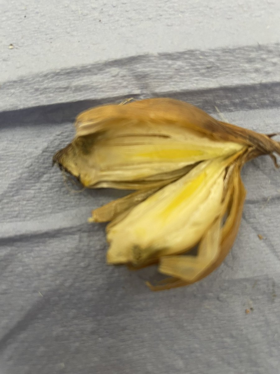 Class 2B tweet media