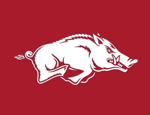 I’m grateful and blessed to receive an offer from the University of Arkansas. Thank you @Coach_MWoodson for this opportunity. Go Razorbacks @MDFootball @RazorbackFB