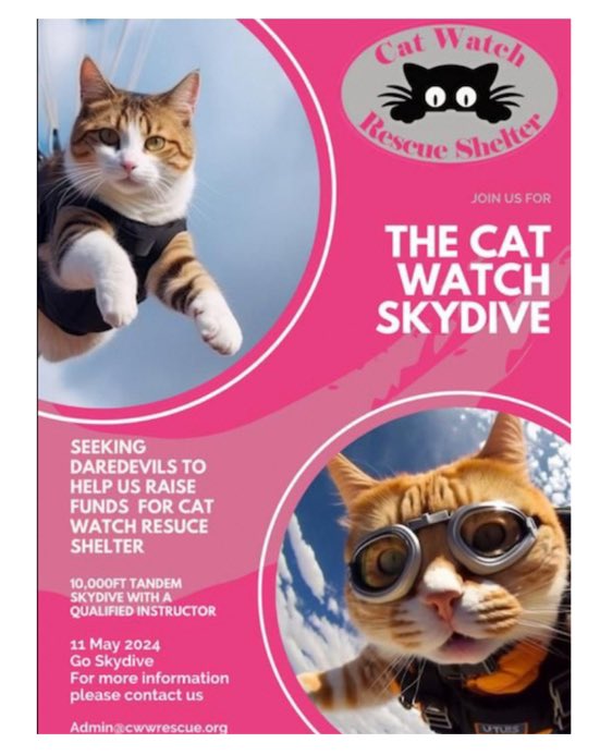 🚨🚨🚨 STILL TIME TO SIGN UP ‼️‼️‼️ Skydiving daredevils needed….. Email admin@cwwrescue.org #skydive #fundraiser #catlovers #rescuecats #rescuecatsrock #lovecats #animalrescue