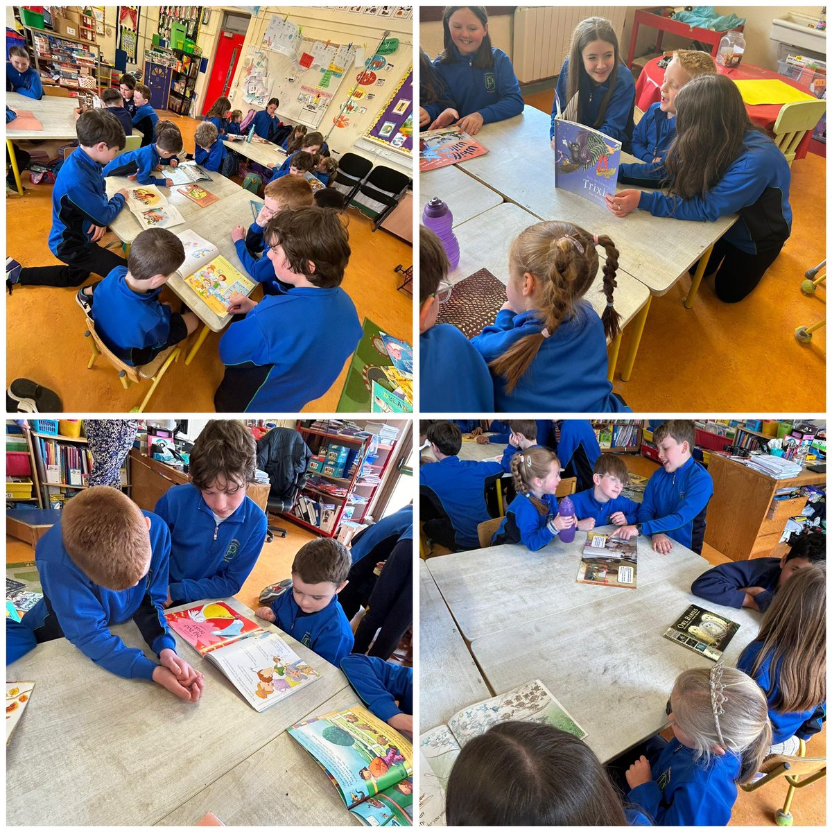 5th and 6th were Buddy Reading with Junior Infants today.

#wellbeingweek #amberflag #buddyreading