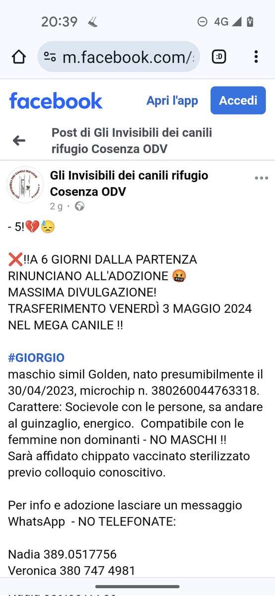 VI PREGO CONDIVIDIAMO IL PIÙ POSSIBILE 🙏♥️♥️♥️♥️♥️♥️♥️♥️♥️♥️♥️♥️♥️♥️♥️♥️♥️